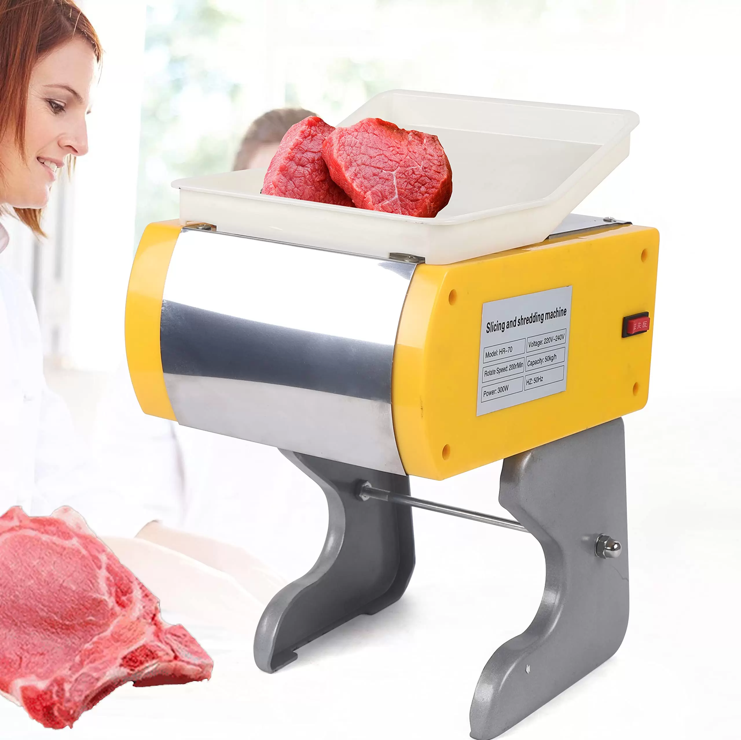 Aufschnittmaschine 300W Allesschneider 50kg/h Profi Fleischscheibenmaschine
