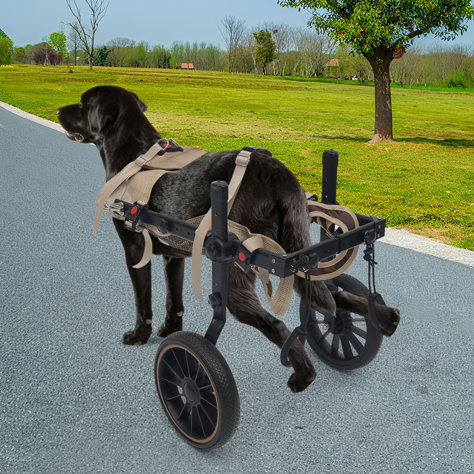 2-Wheel Dog Wheelchair for Back Legs, Pet Walking Aid