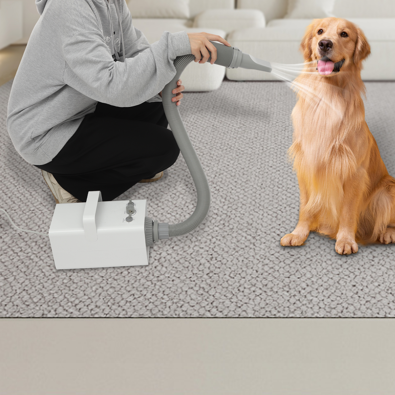 Sèche-cheveux pour animaux, souffleur Smart Force pour chiens, modèle mécanique CL-SE Sèche-cheveux pour animaux, souffleur Smart Force pour chiens, modèle mécanique CL-SE