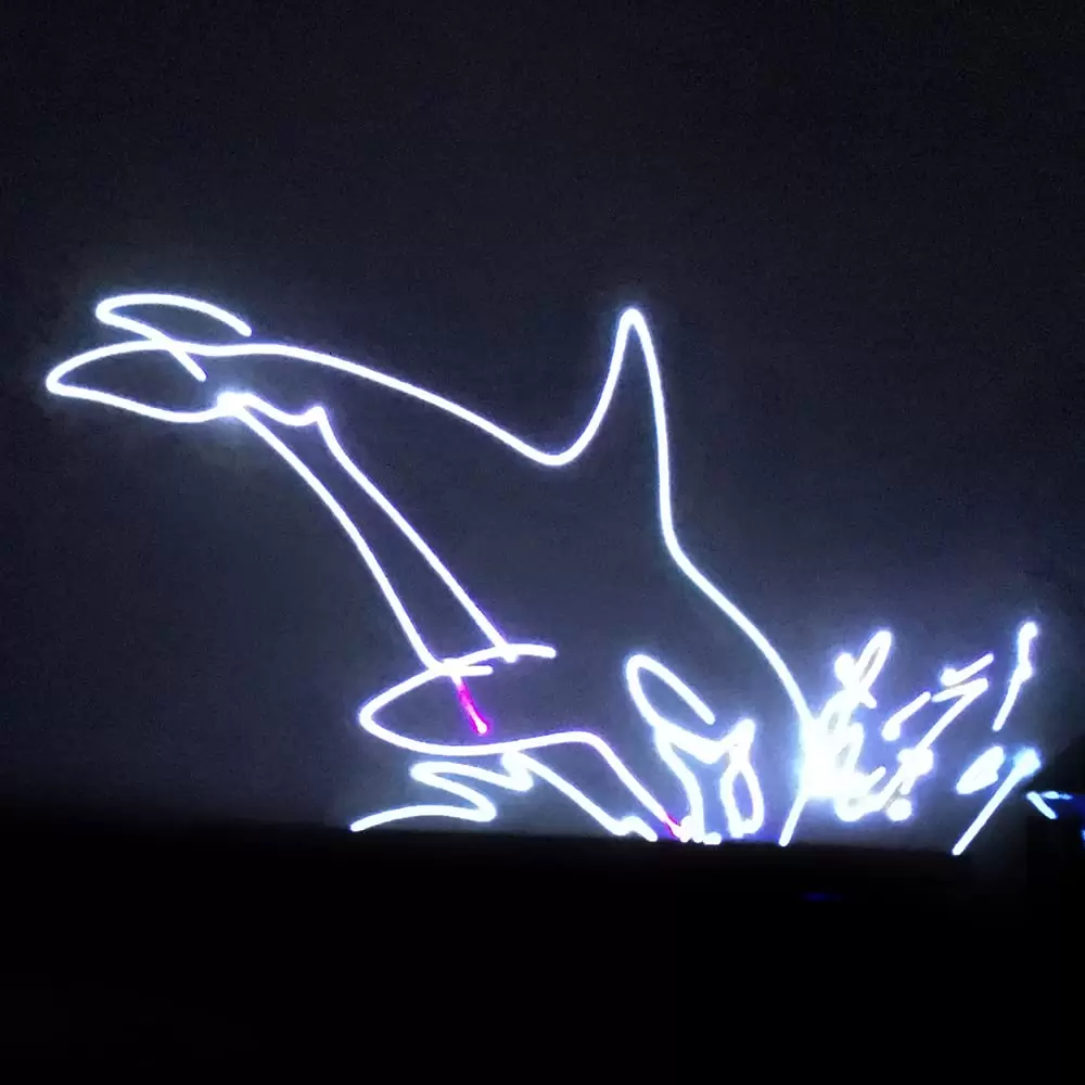 500mw SD-Karte RGB-Animation DMX ILDA Laserprojektor DJ Party Bühnenbeleuchtung 500mw SD-Karte RGB-Animation DMX ILDA Laserprojektor DJ Party Bühnenbeleuchtung