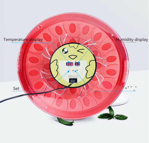 Inkubatoren,30-Eier-Inkubator mit automatischer Eierwende, Mini-Digital-Inkubator