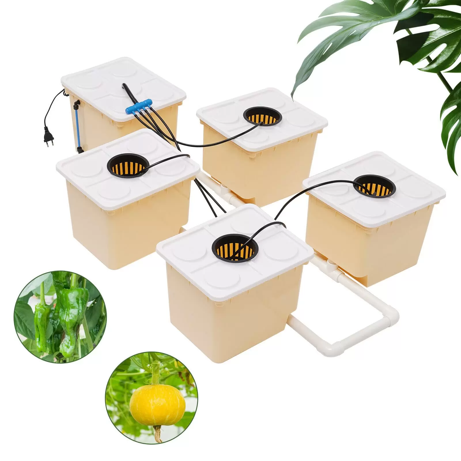 Hydroponik Indoor Pflanzen-Aufzucht für Nutzpflanzen Gemüse Kräuter Salate