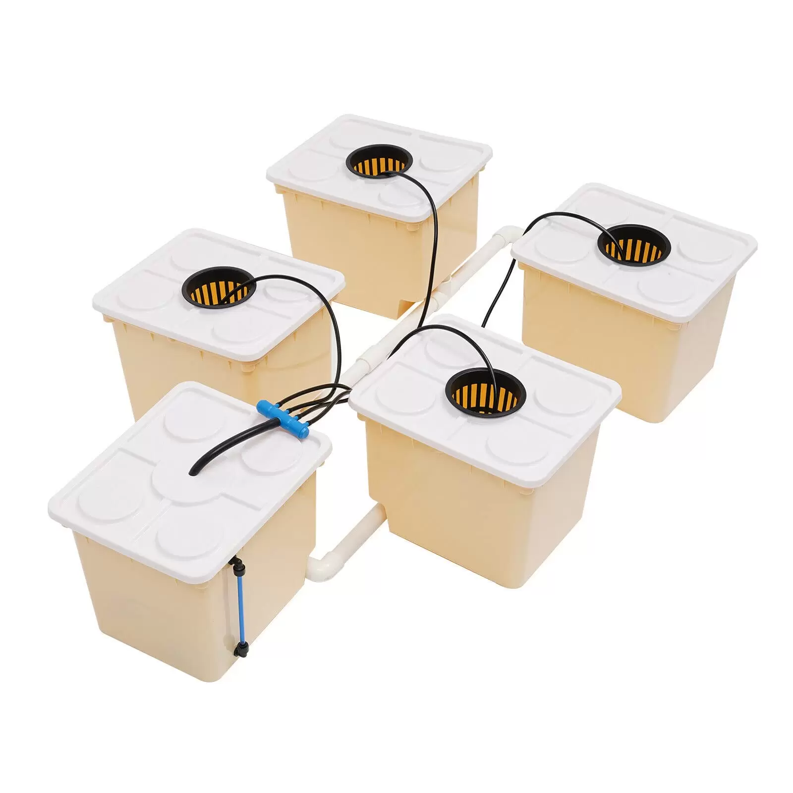 Hydroponik Indoor Pflanzen-Aufzucht für Nutzpflanzen Gemüse Kräuter Salate