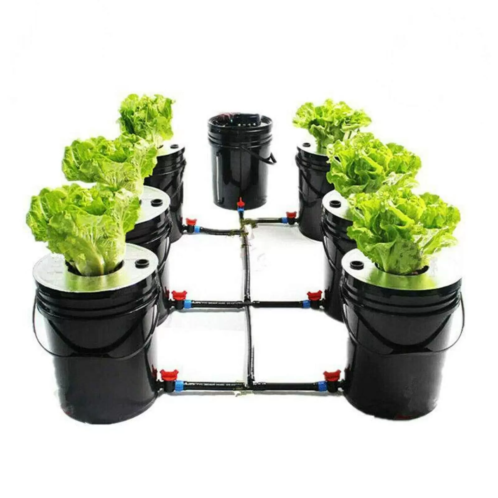 Tiefwasserkultur Komplet Hydroponic Anbau Hydroponische Anzucht Soilless Pflanzsystem System 1 Kit 6 Eimer (20L)