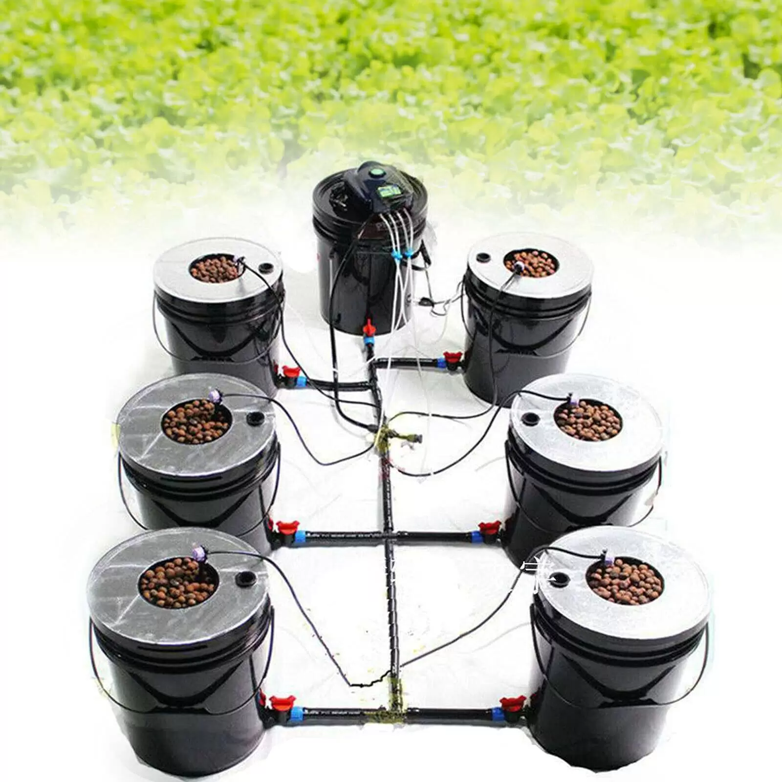 Tiefwasserkultur Komplet Hydroponic Anbau Hydroponische Anzucht Soilless Pflanzsystem System 1 Kit 6 Eimer (20L)