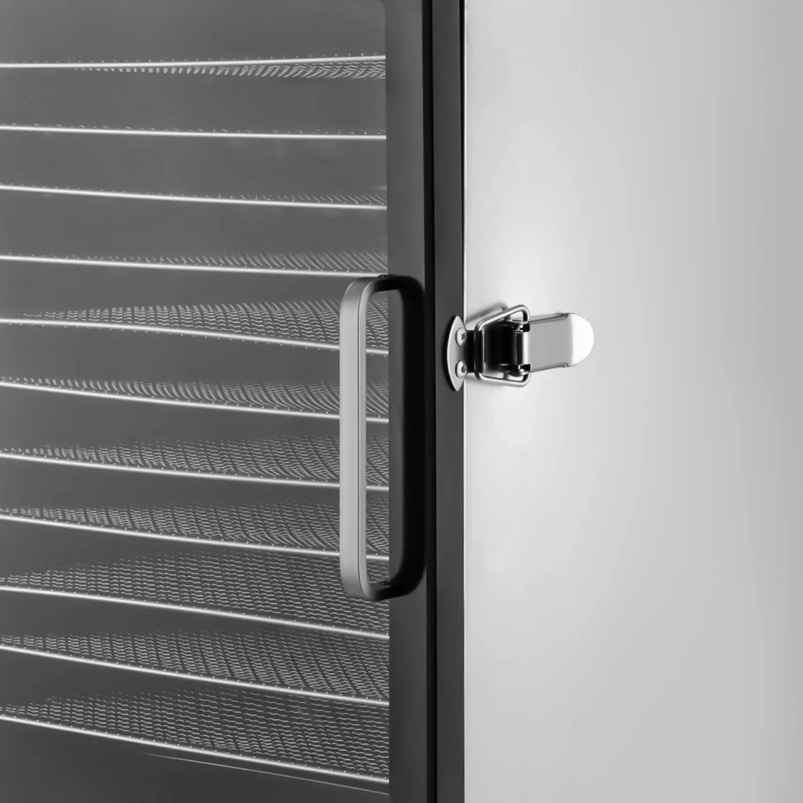 Dörrautomat Edelstahl 12 Einlegefächer, Große Dehydrator Dörrgerät 24h Timer