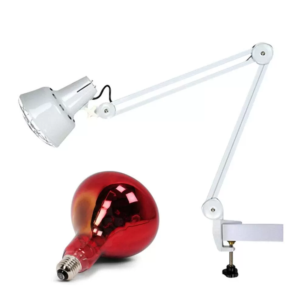 275W Infrarotlampe Wärmelampe Regulierbar Infrarot Wärmetherapielampe Strahler mit Clip 275W Infrarotlampe Wärmelampe Regulierbar Infrarot Wärmetherapielampe Strahler mit Clip