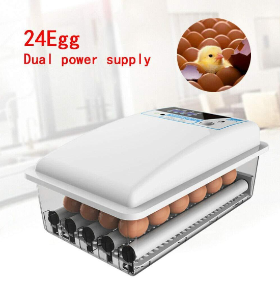 20V 24 Eier Inkubator Vollautomatische Brutapparat Brutautomat Brutkasten