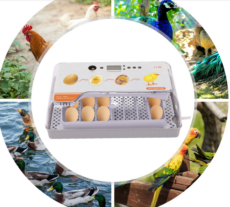 Automatische Inkubator-Temperatur-Feuchtigkeits-Inkubator-Steuerung Hatching-Maschine mit LED-Eierlichtern
