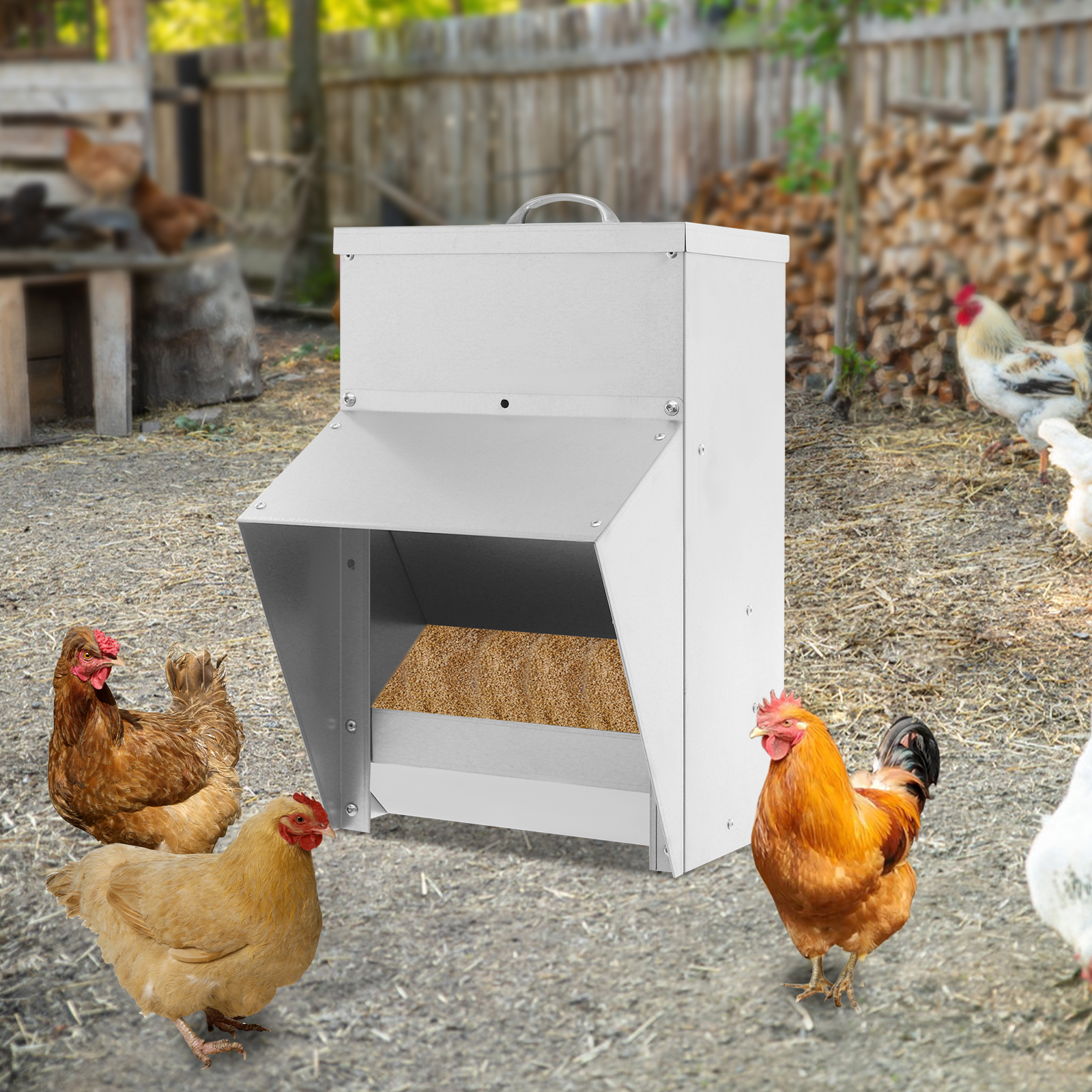 Iron Galvanized Rainproof Chicken Feeder, Hanging Feeder with Lid for Feeding Ducks Outdoors, Chicken Feeder