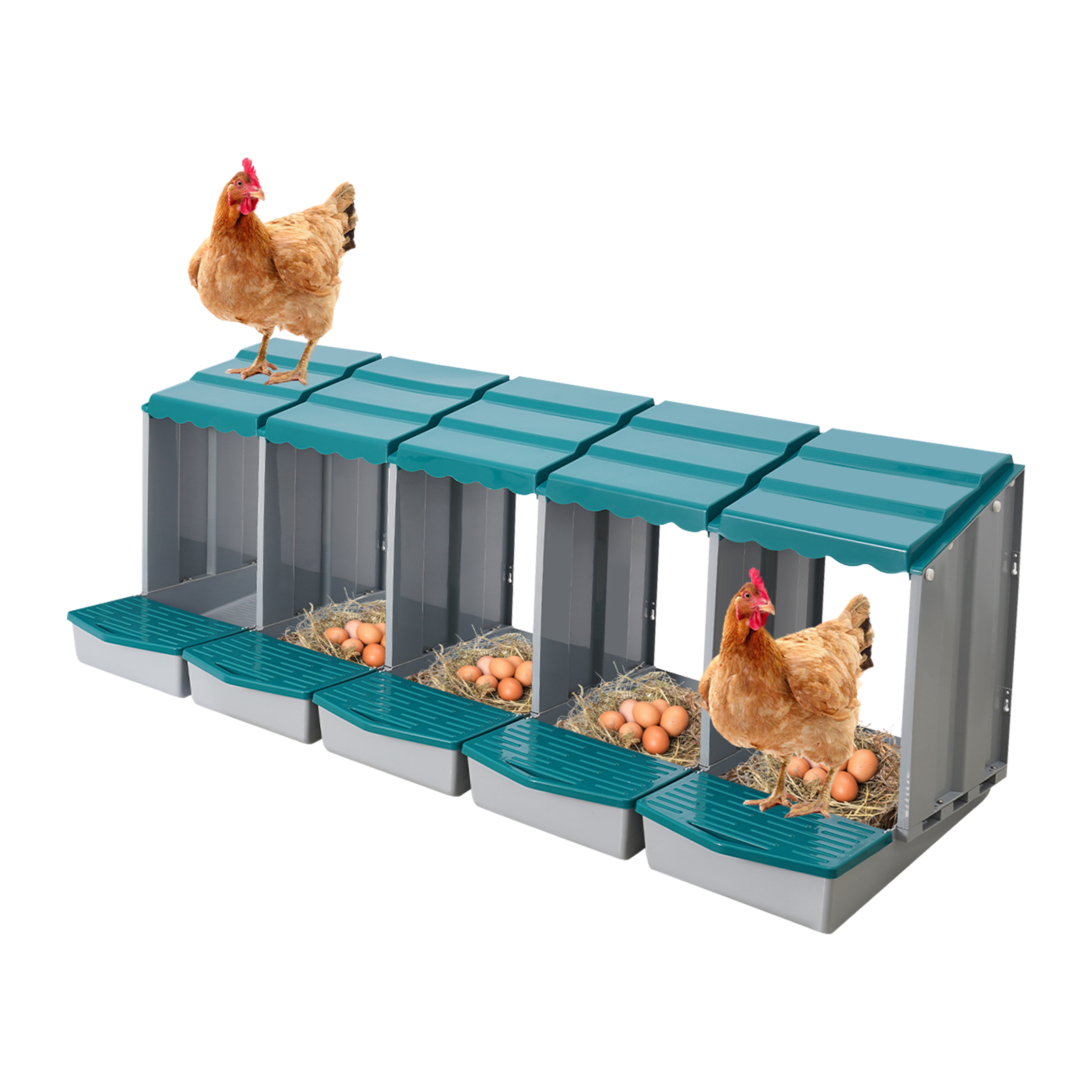 Cajas Nido para Gallinas, Caja Nido para Gallinas de 5 Compartimentos, Caja  de Ponedora con Recolección, image size:1600x1600