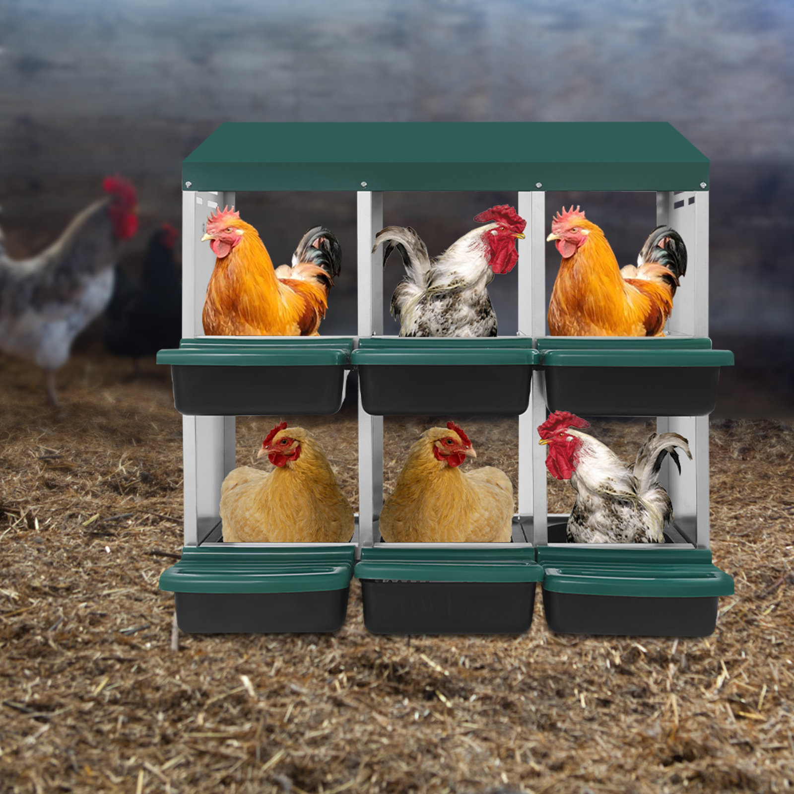 Nido para gallinas de 6 rejillas, para poner huevos, ideal para hogares, granjas, gallineros, patios y terrazas - Verde