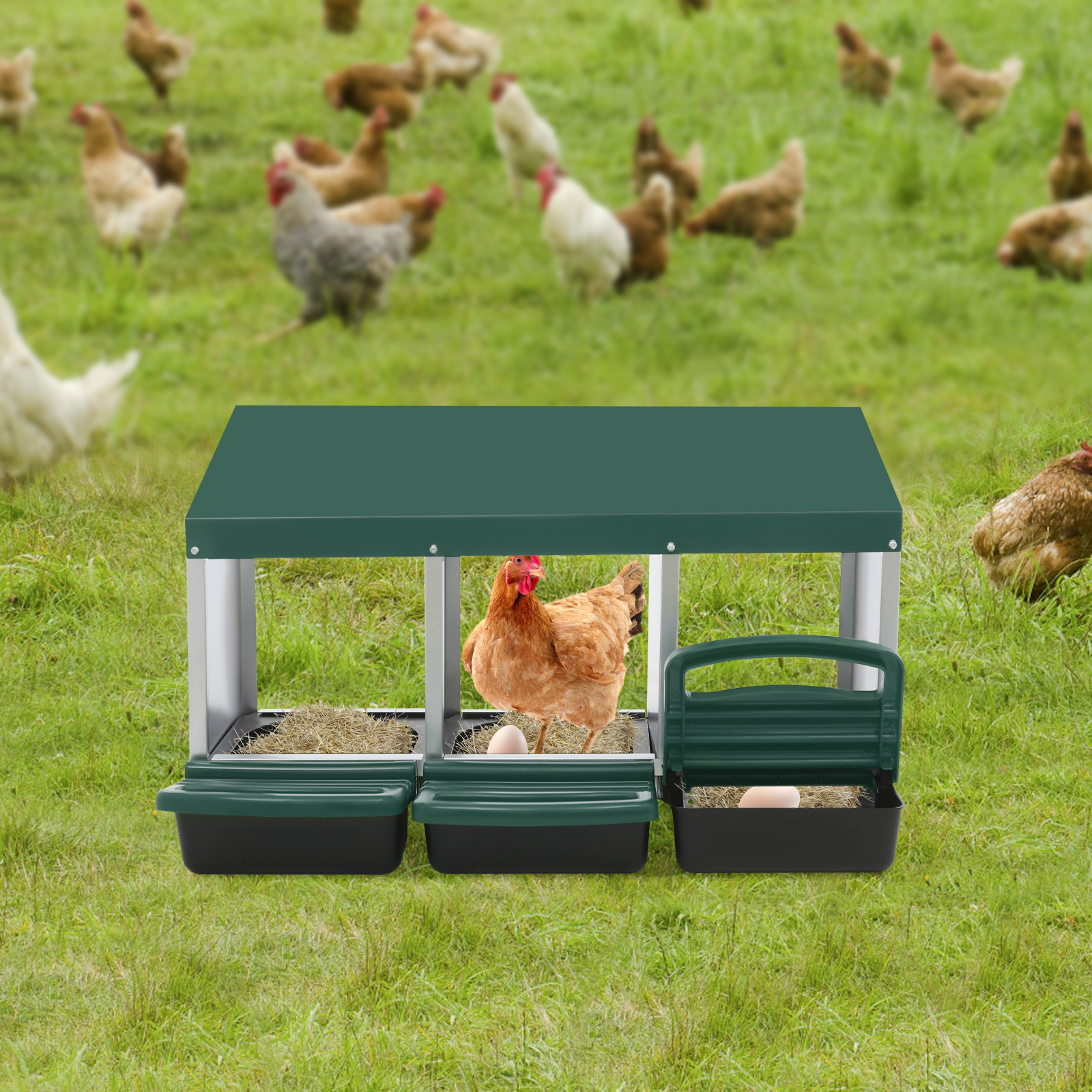 3-delige nestkast voor kippen, legnest, nestkast gebruikt in huizen, boerderijen, hokken, achtertuinen, binnenplaatsen - Groen