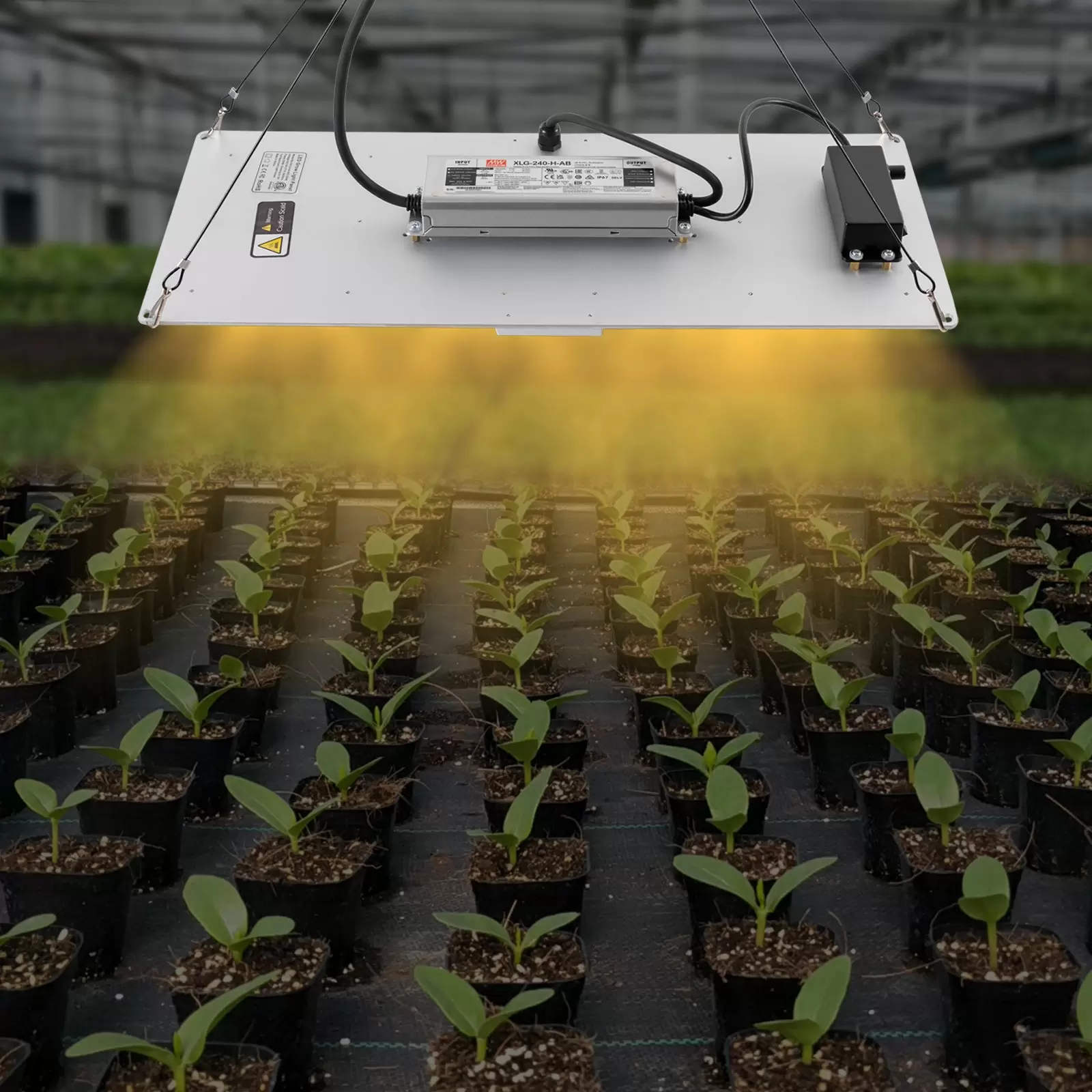 Pflanzenlampe LED Vollspektrum Indoor Grow Light für Zimmerpflanzen, Flower Bloom, Grow Zelt Dimmbar Grow Lampe
