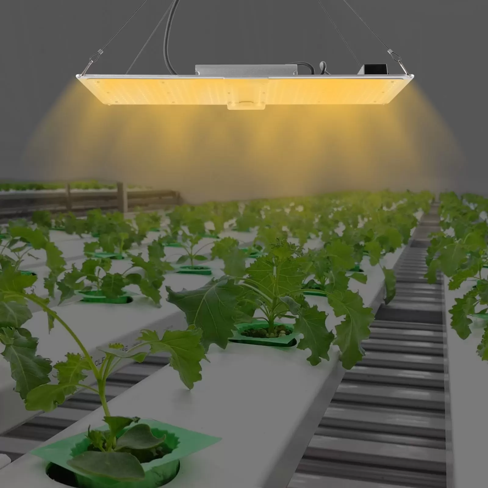 Pflanzenlampe LED Vollspektrum Indoor Grow Light für Zimmerpflanzen, Flower Bloom, Grow Zelt Dimmbar Grow Lampe