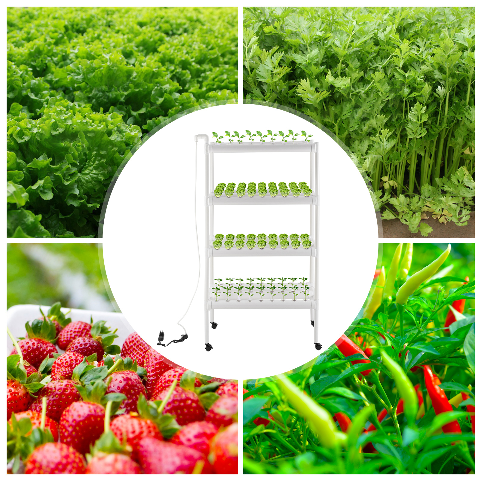 CNCEST Hydroponisches Grow-Kit, Hydroponische Pflanzausrüstung, Hydroponisches Anbausystem mit Grow-Körben CNCEST Hydroponisches Grow-Kit, Hydroponische Pflanzausrüstung, Hydroponisches Anbausystem mit Grow-Körben