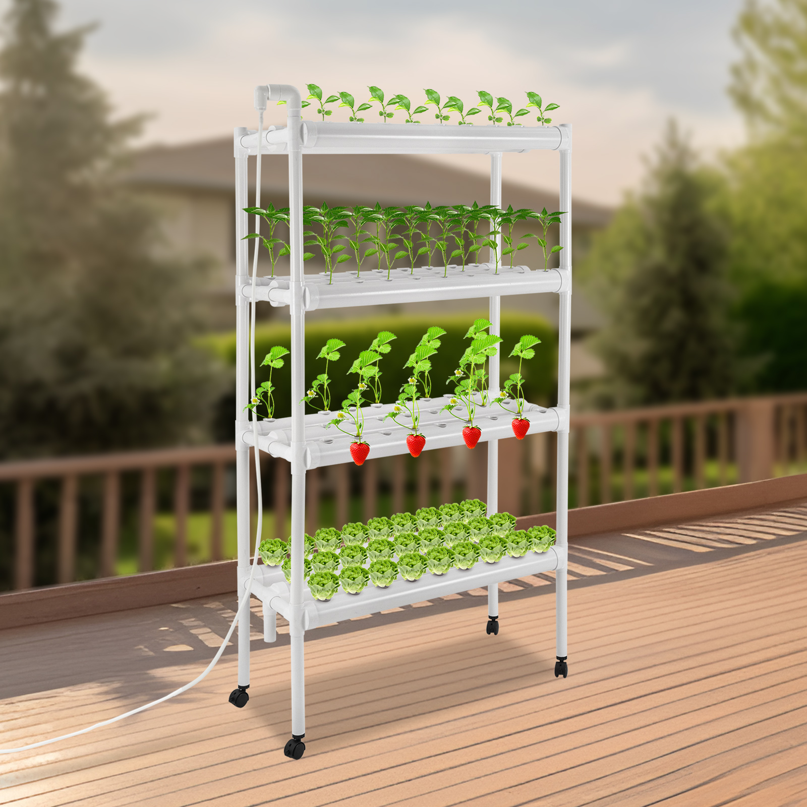 CNCEST Hydroponisches Grow-Kit, Hydroponische Pflanzausrüstung, Hydroponisches Anbausystem mit Grow-Körben CNCEST Hydroponisches Grow-Kit, Hydroponische Pflanzausrüstung, Hydroponisches Anbausystem mit Grow-Körben